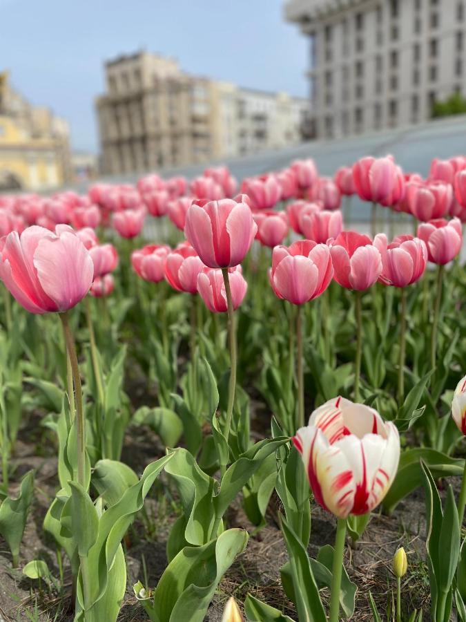 Однокімнатні Апартаменти На Майдані, Дистанційне Заселення 24Х7 Kiev Esterno foto